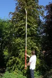wysiegnik-ars-exp-3-3-stan-nowy