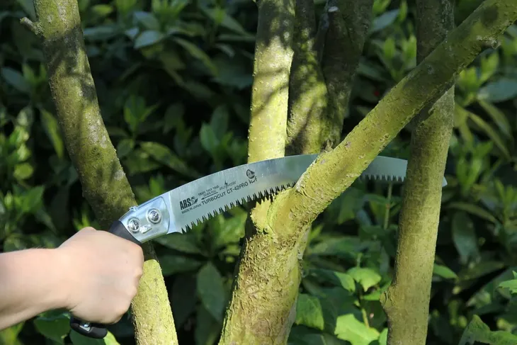 ars-ct-42pro-pilka-marka-euroflora