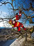 silky-zubat-270-75-pilka-kod-producenta-sil-09999