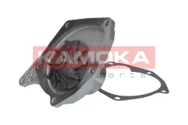 pompa-wody-renault-megane-ii-2002-2003-2004-2005-2006-2007-2008-2009-2010