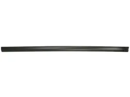 listwa-nadwozia-na-drzwi-p-do-fiat-punto-i-176-2-3d-09-93-06-00