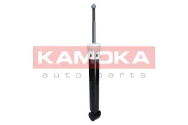 amortyzator-tyl-l-p-gazowy-2019087-bmw-x5-e53-2001-2002-2003-2004-2005-2006