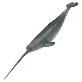 narwal-jednozebny-zoolandia-figurka-kolekcjonerskie-swiat-zwierzat