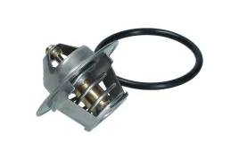 termostat-wklad-89c-peugeot-306-1994-1995-1996-1997-1998-1999-2000-2001