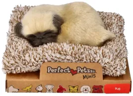 maly-szczeniaczek-mops-perfect-petzzz