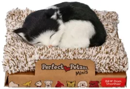 perfect-petzzz-czarno-bialy-dachowiec-na-legowisku