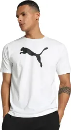 koszulka-meska-puma-team-rise-logo-jersey-cotton-biala-658705-04-rozm-xl