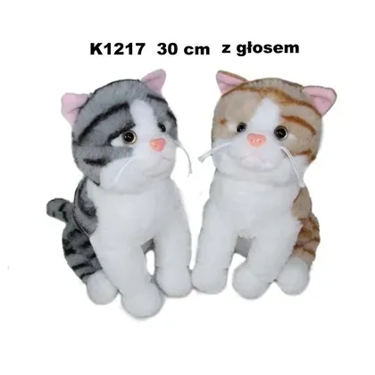 kot-z-glosem-30cm-mix