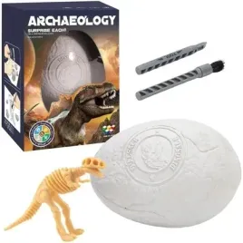 wykopaliska-paleontolog-jajo-dinozaura