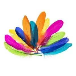 piorka-gesie-nenowy-15-20cm