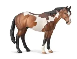appaloosa-ogier