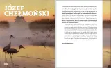 jozef-chelmonski-bosz-jezyk-polski