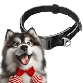 obroza-odblaskowa-regulowana-tasma-45-60-cm-l-dogness
