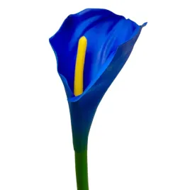 calla-pojedyncza-gumowana-new-dk-blue