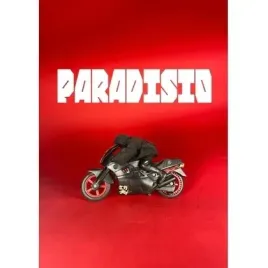 paradisio-timof-i-cisi-wspolnicy