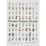 flower-colour-guide-wer-angielska