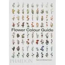 flower-colour-guide-wer-angielska