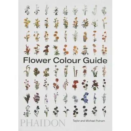flower-colour-guide-wer-angielska