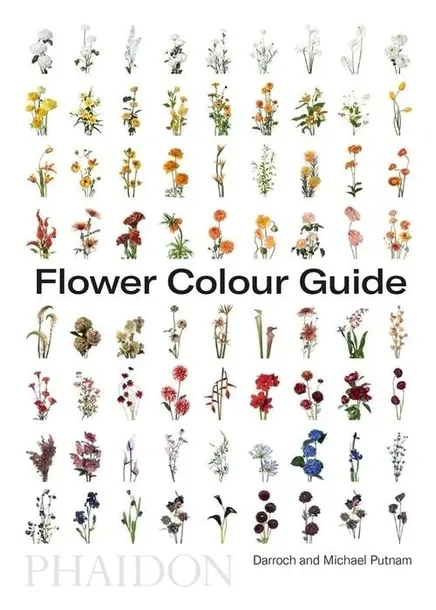 flower-colour-guide-wer-angielska-stan-nowy