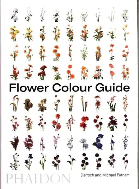 flower-colour-guide-wer-angielska-jezyk-angielski