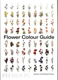 flower-colour-guide-wer-angielska-jezyk-angielski
