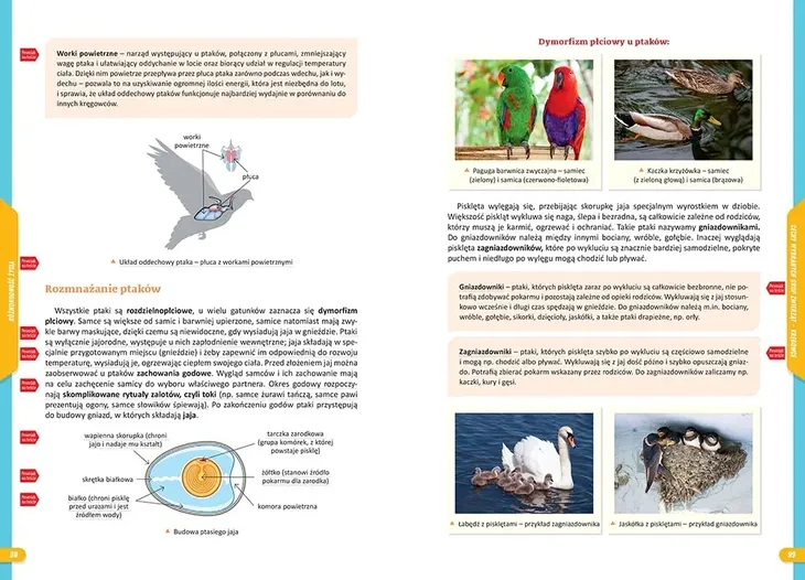nowe-repetytorium-sp-biologia-wydawnictwo-wydawnictwo-greg