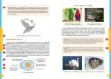 nowe-repetytorium-sp-biologia-wydawnictwo-wydawnictwo-greg