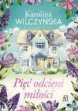piec-odcieni-milosci-stan-nowy