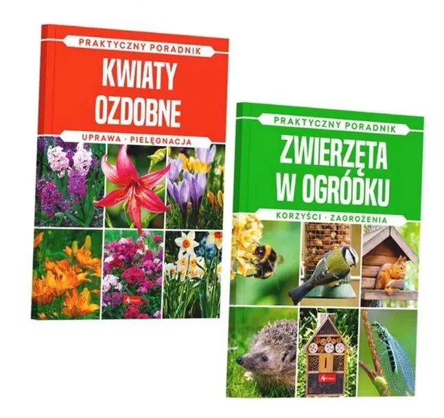 pakiet-natura-wydawnictwo-dragon