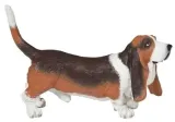 basset