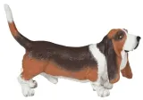 basset-stan-nowy
