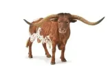 byk-texas-longhorn