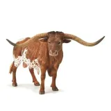byk-texas-longhorn-stan-nowy