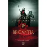 vindolanda-t-3-brigantia