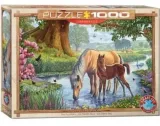 puzzle-1000-dzikie-konie