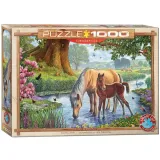 puzzle-1000-dzikie-konie-stan-nowy