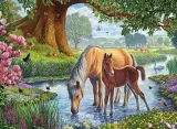 puzzle-1000-dzikie-konie-kod-producenta-0628136609760