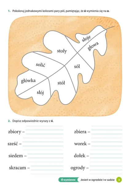 ale-to-ciekawe-sp-2-ortografia-mac-jezyk-polski