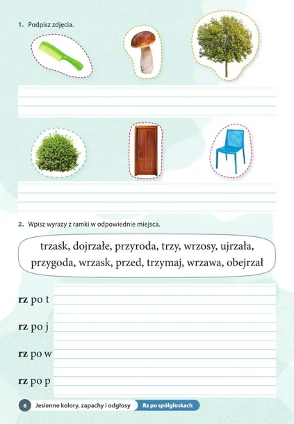 ale-to-ciekawe-sp-2-ortografia-mac-okladka-miekka