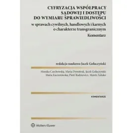 cyfryzacja-wspolpracy-sadowej-i-dostepu-do-wymiaru-sprawiedliwosci-w-sprawa