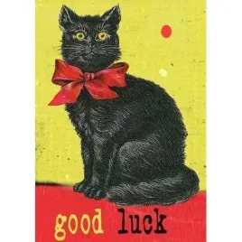 karnet-b6-z-koperta-czarny-kot-good-luck-madame-treacle
