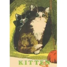 karnet-b6-z-koperta-dwa-kotki-madame-treacle