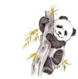 karnet-zlocony-kwadrat-cl3816-bl-panda-clear-creations
