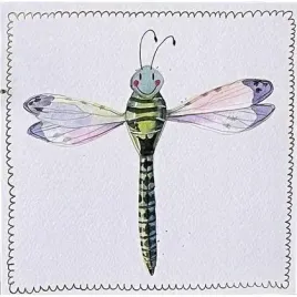 karnet-s519-wazka
