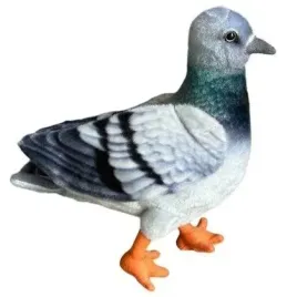 golab-niebieski-30cm