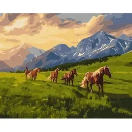 malowanie-po-numerach-wolny-duchem-40x50cm