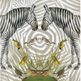 karnet-kwadrat-z-koperta-zebra