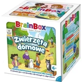 brainbox-zwierzeta-domowe-rebel