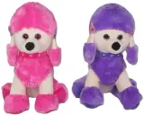 pies-20cm-mix-stan-nowy