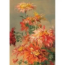 karnet-st493-b6-koperta-pomaranczowa-dalia